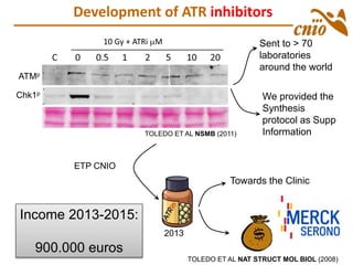 10 Gy + ATRi mM
ATMp
Chk1p
Development of ATR inhibitors
TOLEDO ET AL NSMB (2011)
Sent to > 70
laboratories
around the world
We provided the
Synthesis
protocol as Supp
Information
Towards the Clinic
TOLEDO ET AL NAT STRUCT MOL BIOL (2008)
2013
ETP CNIO
Income 2013-2015:
900.000 euros
 