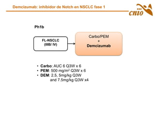 Carbo/PEM
+
Demcizumab
Ph1b
FL-NSCLC
(IIIB/ IV)
• Carbo: AUC 6 Q3W x 6
• PEM: 500 mg/m2 Q3W x 6
• DEM: 2.5, 5mg/kg Q3W
and 7.5mg/kg Q3W x4
Demcizumab: inhibidor de Notch en NSCLC fase 1
 