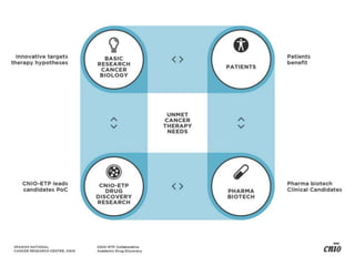 María Blasco-Investigar, educar, dialogar