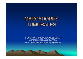 MARCADORES
 TUMORALES

GENETICA Y BIOLOGICA MOLECULAR
    ADRIANA MARIA GIL ZAPATA.
Msc. CIENCIAS BASICAS BIOMEDICAS
 