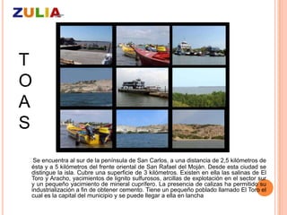 T
O
A
S
 Se encuentra al sur de la península de San Carlos, a una distancia de 2,5 kilómetros de
ésta y a 5 kilómetros del frente oriental de San Rafael del Moján. Desde esta ciudad se
distingue la isla. Cubre una superficie de 3 kilómetros. Existen en ella las salinas de El
Toro y Aracho, yacimientos de lignito sulfurosos, arcillas de explotación en el sector sur
y un pequeño yacimiento de mineral cuprífero. La presencia de calizas ha permitido su
industrialización a fin de obtener cemento. Tiene un pequeño poblado llamado El Toro el
cual es la capital del municipio y se puede llegar a ella en lancha
 