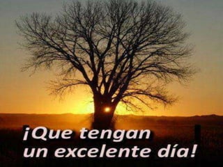 Maracaibo Tierra de Gracias 