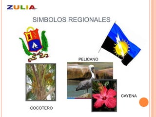 SIMBOLOS REGIONALES




           PELICANO




                      CAYENA


COCOTERO
 