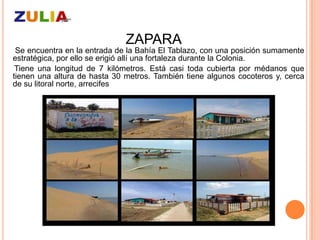 ZAPARA
 Se encuentra en la entrada de la Bahía El Tablazo, con una posición sumamente
estratégica, por ello se erigió allí una fortaleza durante la Colonia.
 Tiene una longitud de 7 kilómetros. Está casi toda cubierta por médanos que
tienen una altura de hasta 30 metros. También tiene algunos cocoteros y, cerca
de su litoral norte, arrecifes
 