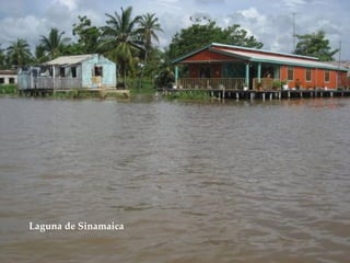 Laguna de Sinamaica 