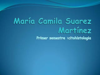 María Camila Suarez Martínez  Primer semestre :citohistologia 