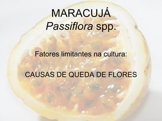 MARACUJÁ
Passiflora spp.
Fatores limitantes na cultura:
CAUSAS DE QUEDA DE FLORES
 