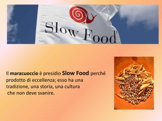 Il maracuoccio è presidio Slow Food perché
prodotto di eccellenza; esso ha una
tradizione, una storia, una cultura
che non deve svanire.
 
