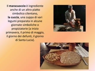Il maracuoccio è ingrediente
anche di un altro piatto
simbolico cilentano,
la cuccia, una zuppa di vari
legumi preparata in alcune
giornate simboliche o
propiziatorie (a inizio
primavera, il primo di maggio,
il giorno dei defunti, il giorno
di Santa Lucia).
 