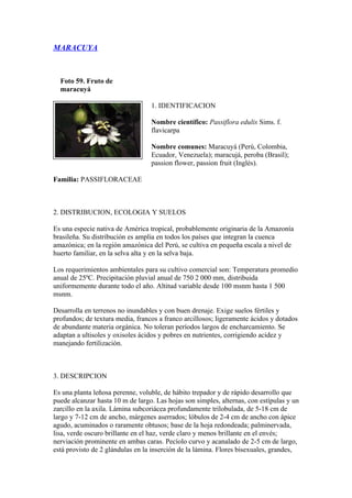 MARACUYA



  Foto 59. Fruto de
  maracuyá

                                  1. IDENTIFICACION

                                  Nombre científico: Passiflora edulis Sims. f.
                                  flavicarpa

                                  Nombre comunes: Maracuyá (Perú, Colombia,
                                  Ecuador, Venezuela); maracujá, peroba (Brasil);
                                  passion flower, passion fruit (Inglés).

Familia: PASSIFLORACEAE



2. DISTRIBUCION, ECOLOGIA Y SUELOS

Es una especie nativa de América tropical, probablemente originaria de la Amazonía
brasileña. Su distribución es amplia en todos los países que integran la cuenca
amazónica; en la región amazónica del Perú, se cultiva en pequeña escala a nivel de
huerto familiar, en la selva alta y en la selva baja.

Los requerimientos ambientales para su cultivo comercial son: Temperatura promedio
anual de 25ºC. Precipitación pluvial anual de 750 2 000 mm, distribuida
uniformemente durante todo el año. Altitud variable desde 100 msnm hasta 1 500
msnm.

Desarrolla en terrenos no inundables y con buen drenaje. Exige suelos fértiles y
profundos; de textura media, francos a franco arcillosos; ligeramente ácidos y dotados
de abundante materia orgánica. No toleran períodos largos de encharcamiento. Se
adaptan a ultisoles y oxisoles ácidos y pobres en nutrientes, corrigiendo acidez y
manejando fertilización.



3. DESCRIPCION

Es una planta leñosa perenne, voluble, de hábito trepador y de rápido desarrollo que
puede alcanzar hasta 10 m de largo. Las hojas son simples, alternas, con estípulas y un
zarcillo en la axila. Lámina subcoriácea profundamente trilobulada, de 5-18 cm de
largo y 7-12 cm de ancho, márgenes aserrados; lóbulos de 2-4 cm de ancho con ápice
agudo, acuminados o raramente obtusos; base de la hoja redondeada; palminervada,
lisa, verde oscuro brillante en el haz, verde claro y menos brillante en el envés;
nerviación prominente en ambas caras. Pecíolo curvo y acanalado de 2-5 cm de largo,
está provisto de 2 glándulas en la inserción de la lámina. Flores bisexuales, grandes,
 