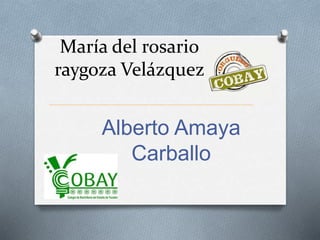 María del rosario
raygoza Velázquez
Alberto Amaya
Carballo
 