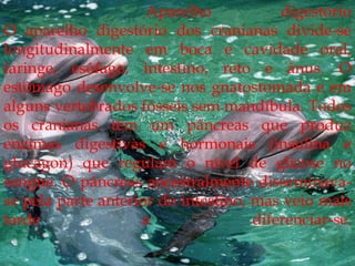 fh                                    Aparelho digestórioO aparelho digestóriodos cranianas divide-se longitudinalmente em boca e cavidade oral, faringe, esôfago, intestino, reto e ânus. O estômago desenvolve-se nos gnatostomada e em alguns vertebrados fósseis sem mandíbula. Todos os cranianas têm um pâncreas que produz enzimas digestivas e hormonais (insulina e glucagon) que regulam o nível de glicose no sangue. O pâncreas ancestralmente disseminava-se pela parte anterior do intestino, mas veio mais tarde a diferenciar-se.