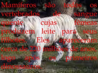 Mamíferos são todos os vertebrados de sangue quente cujas fêmeas produzem leite para seus filhotes. Eles apareceram cerca de 220 milhões de anos, logo após os primeiros dinossauros.