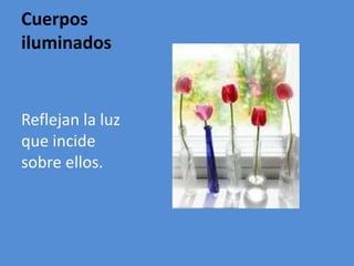 Cuerpos
iluminados
Reflejan la luz
que incide
sobre ellos.
 