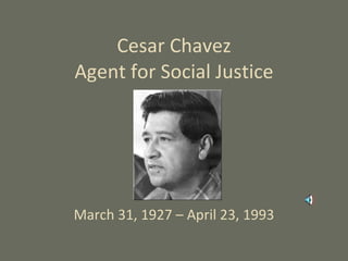 Cesar Chavez Agent for Social Justice March 31, 1927 – April 23, 1993 