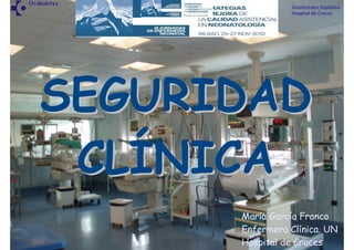 Gurutzetako Ospitalea
                Hospital de Cruces




SEGURIDAD
 CLÍNICA
      María García Franco
      Enfermera Clínica. UN
      Hospital de Cruces
 