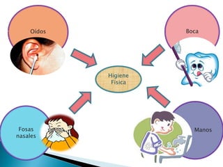 Oídos             Boca




            Higiene
             Física




 Fosas                  Manos
nasales
 