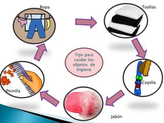 Ropa                         Toallas




                   Tips para
                   cuidar los
                  objetos de
                    higiene


                                        Cepillo

Peinilla




                                Jabón
 
