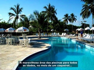A maravilhosa área das piscinas para todas as idades, no meio de um coqueiral...  