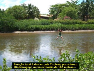 Emoção total é descer pela Tirolesa, por sobre o Rio Maragogi, numa extensão de 100 metros...  
