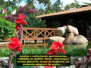 Amplos e confortáveis apartamentos, rodeados de jardins, flores, coqueirais e muitos pássaros, fazem do despertar um momento mágico e de prazer...  