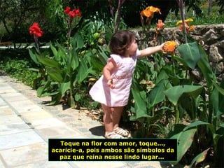Toque na flor com amor, toque..., acaricie-a, pois ambos são símbolos da paz que reina nesse lindo lugar...  