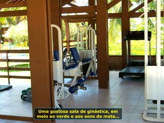 Uma gostosa sala de ginástica, em meio ao verde e aos sons da mata... 