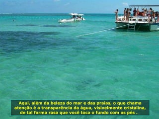 Aqui, além da beleza do mar e das praias, o que chama atenção é a transparência da água, visivelmente cristalina, de tal forma rasa que você toca o fundo com os pés .  