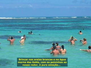 Brincar nas areias brancas e na água morna das Galés, com os peixinhos ao nosso redor, é pura emoção...  