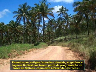 Passeios por antigas fazendas coloniais, engenhos e lugares lindíssimos fazem parte da programação de lazer do Salinas, como este à Fazenda Marrecas...  