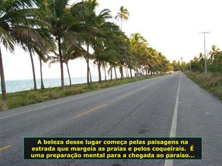 A beleza desse lugar começa pelas paisagens na estrada que margeia as praias e pelos coqueirais.  É uma preparação mental para a chegada ao paraíso... 