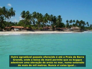 Outro agradável passeio oferecido é até a Praia de Barra Grande, onde a baixa da maré permite que os buggys adentrem uma elevação de areia no mar, numa extensão de mais de mil metros. Nunca vi coisa igual...  