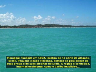 Maragogi, fundada em 1892, localiza-se no norte de Alagoas, Brasil. Pequena cidade litorânea, destaca-se pela beleza de suas praias e de suas piscinas naturais. A região é conhecida, internacionalmente, como o Caribe brasileiro...  