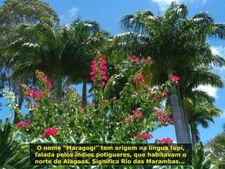 O nome “Maragogi” tem origem na língua tupi, falada pelos índios potiguares, que habitavam o norte de Alagoas. Significa Rio das Marambas...  