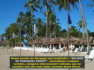 Nesse paraíso de Maragogi está localizado o “ SALINAS DO MARAGOGI RESORT ”, maravilhoso complexo turístico, categoria internacional 5 estrelas, que se constitui num dos mais belos recantos desse litoral... 