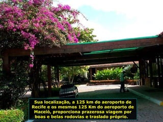 Sua localização, a 125 km do aeroporto de Recife e os mesmos 125 Km do aeroporto de Maceió, proporciona prazerosa viagem por boas e belas rodovias e traslado próprio.  
