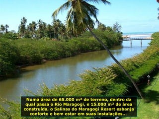 Numa área de 65.000 m² de terreno, dentro da qual passa o Rio Maragogi, e 15.000 m² de área construída, o Salinas do Maragogi Resort esbanja conforto e bem estar em suas instalações...  
