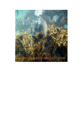 Maragogi  Pousada Do Turista