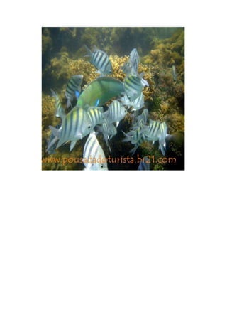 Maragogi  Pousada Do Turista