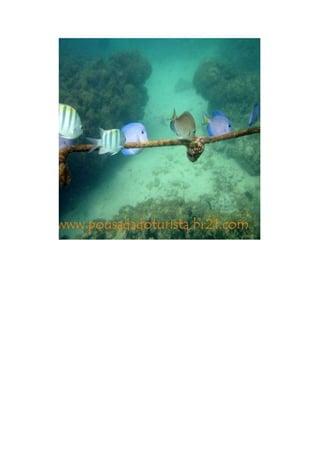 Maragogi  Pousada Do Turista