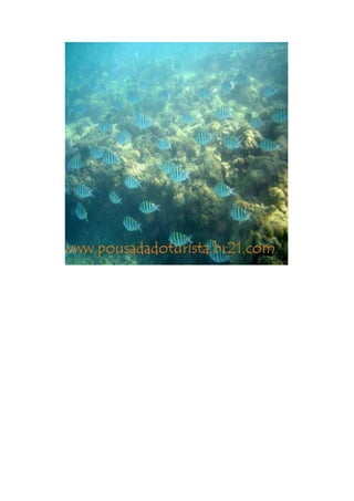 Maragogi  Pousada Do Turista