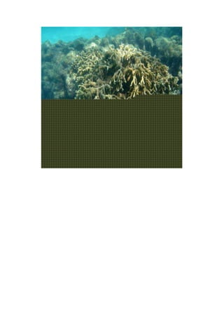 Maragogi  Pousada Do Turista