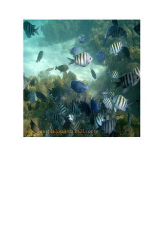 Maragogi  Pousada Do Turista