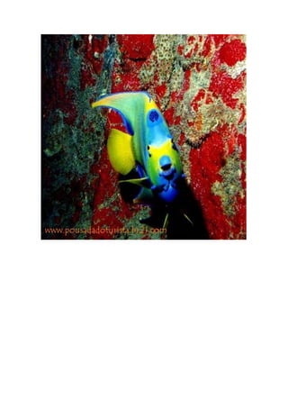 Maragogi  Pousada Do Turista