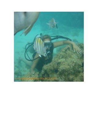 Maragogi  Pousada Do Turista