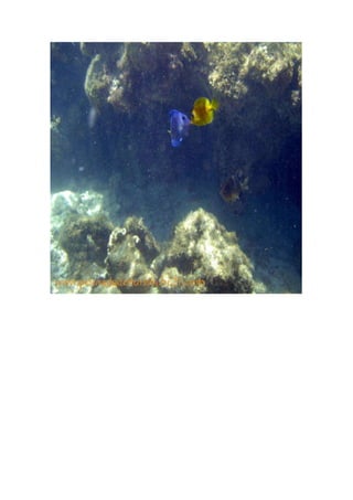 Maragogi  Pousada Do Turista