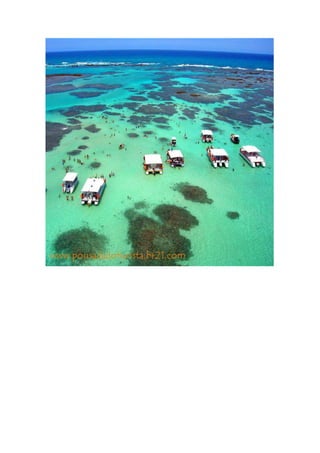 Maragogi  Pousada Do Turista