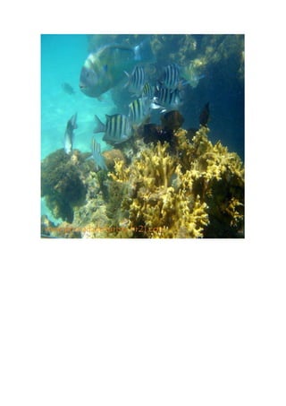 Maragogi  Pousada Do Turista