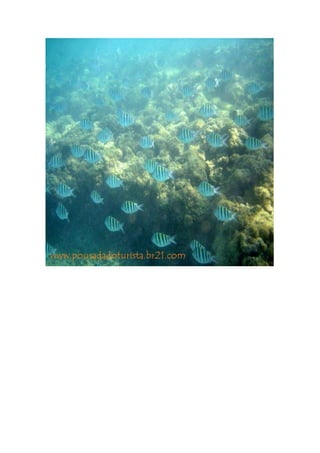 Maragogi  Pousada Do Turista