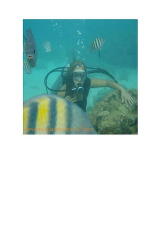 Maragogi  Pousada Do Turista